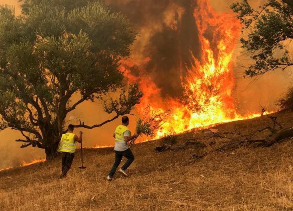 وفاة 15 شخصا وإصابة 26 آخرين جراء حرائق الغابات في الجزائر