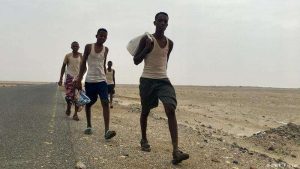 الهجرة الدولية: وصول 91 الف مهاجر افريقي الى اليمن في 2023