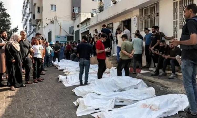 1150 شهيدا وجريحا في مجزرة صهيونية بحق منتظري المساعدات جنوب غزة