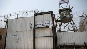 فلسطين: الأسيرات في "الدامون" يعشن أوضاعًا مأساوية