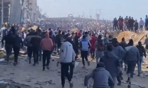 17 شهيدا في مجزرة يرتكبها الاحتلال عند دوار الكويت جنوب غزة