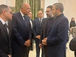 شكري وباقري كني يبحثان الوضع في غزة وتطوير العلاقات بين مصر وإيران