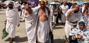 "أ ف ب": حالات الوفاة في صفوف الحجّاج تجاوزت الألف