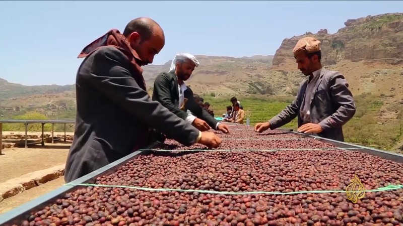 الان اخبار صنعاء واليمن اليوم واخر انباء الجزيرة العربية واحداث المقاومة في فلسطين وغزة ولبنان العاجلة ورصد جرائم الاحتلال والمشاهد الهامة